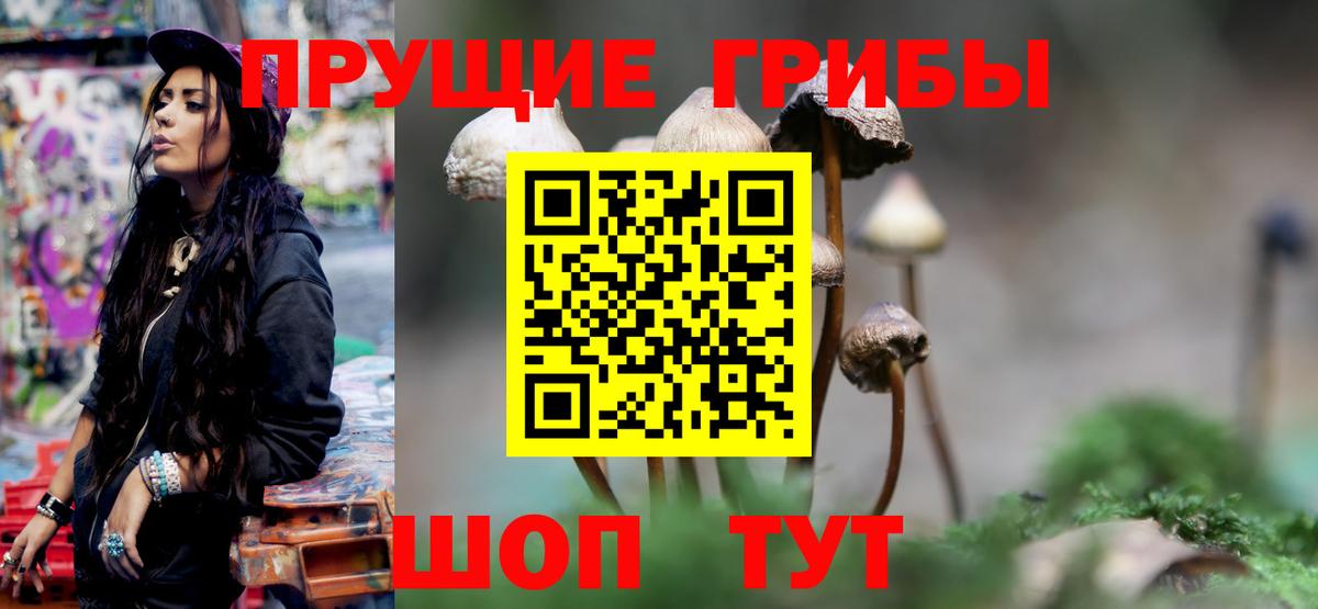 Псилоцибиновые грибы Magic Shrooms  Вход с VPN  Бугуруслан 